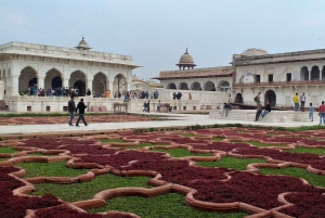 Mumbai: Dagsutflykt till Agra med flyg tur och retur och lunch