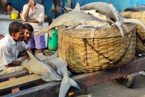 Mumbai Coastal Cooking: From Fishing Net to Flavourful Plate