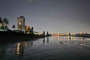 Mumbai: Craft Beer Crawl with a professional tastemaker