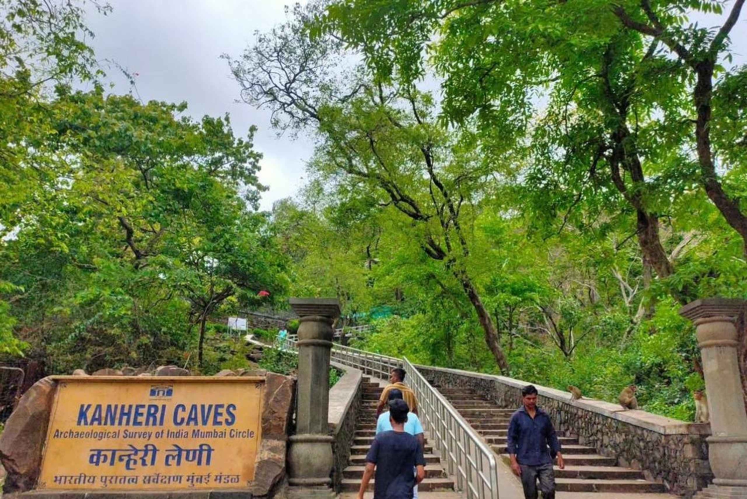 Balade à vélo à Mumbai : sentiers du parc Sanjay Gandhi et grottes de Kanheri