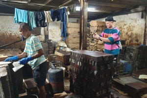 ムンバイ + ダバワラ + スラム街 + ドビガート ツアー (送迎付き)