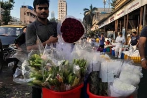 Mumbai: favela de Dharavi, Dhobi Ghat e mercado de flores.