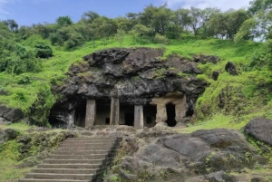 Mumbai: Guidad tur till Elephanta-grottorna med färja och lunch