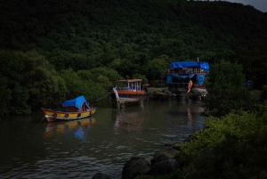 Visite guidée des grottes d'Elephanta à Mumbai