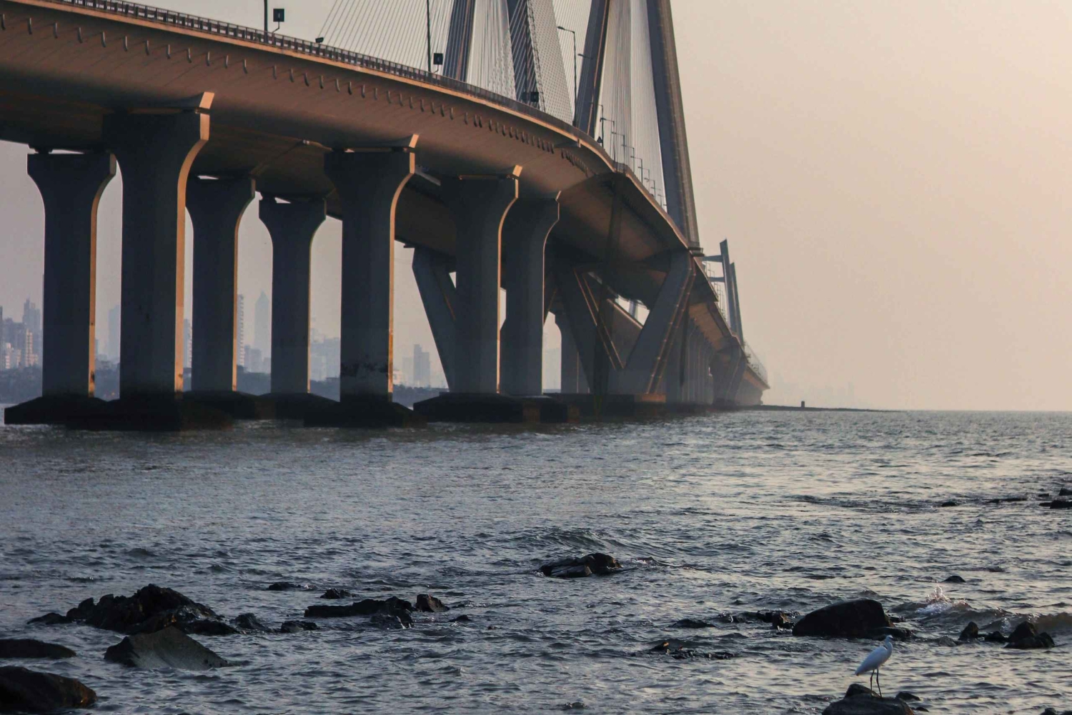 Mumbai: Visita de um dia inteiro à cidade com um local