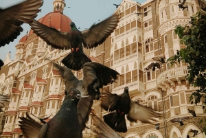 Mumbai: Visita de um dia inteiro à cidade com um local