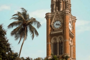 Mumbai: Visita de um dia inteiro à cidade com um local