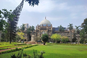 Tour privato della città di Mumbai di un giorno o di mezza giornata