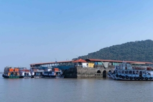 Ture i Mumbai og Goa: Privat kombineret udflugt fra havnen