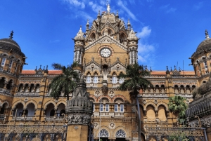 Mumbai Half-Day Private Guided Tour with Dhobi Ghat