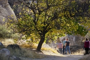 Mumbai: Halbtägige Sightseeing-Tour mit Elephanta-Höhlen