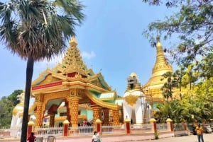 Mumbai: tour di mezza giornata con passaggio dall'hotel