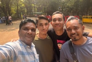 Mumbai: Guidad tur i Kanheri-grottorna