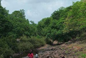 Mumbai: Guidad tur i Kanheri-grottorna