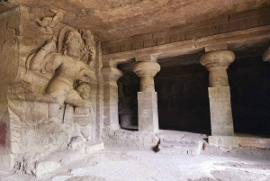 Исторический тур на полдня по пещерам Канхери в Мумбаи с опциями