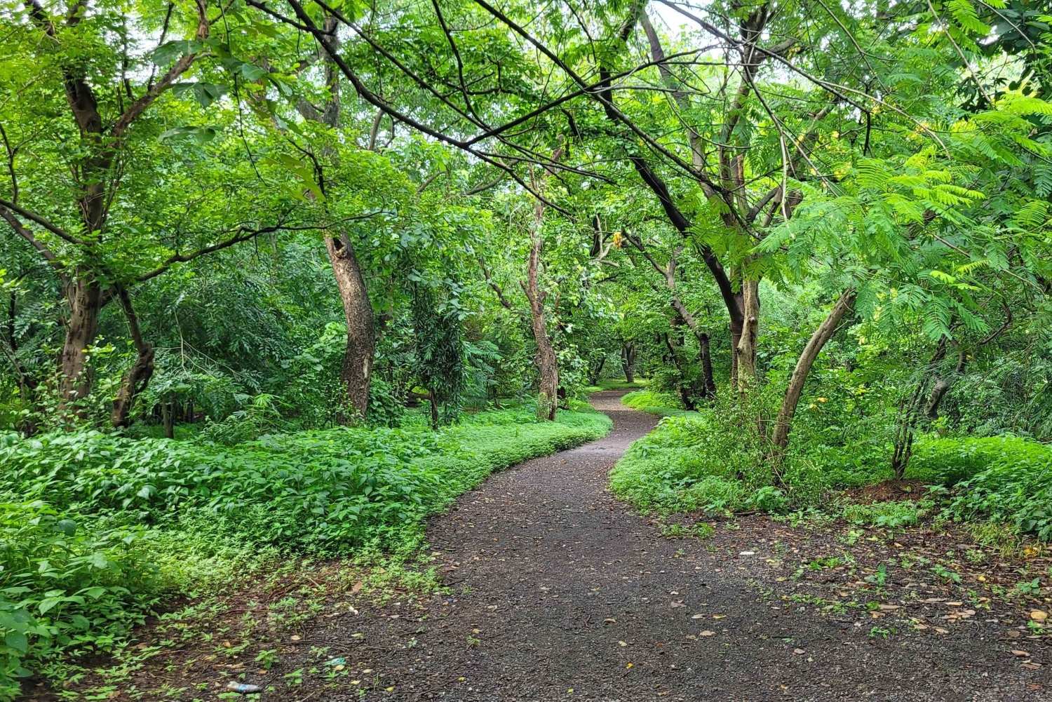 Mumbai: Maharashtra Nature Park Begeleide natuurwandeling