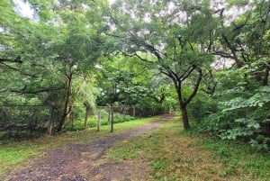 Mumbai: Parco Naturale del Maharashtra - Percorso naturalistico guidato