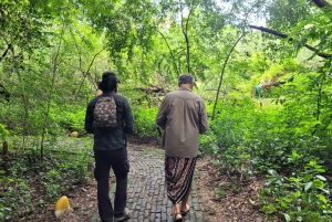 Mumbai: Parco Naturale del Maharashtra - Percorso naturalistico guidato