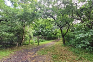 Mumbai: Maharashtra Nature Park Begeleide natuurwandeling