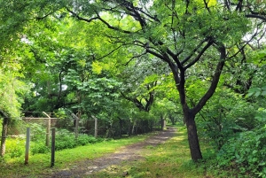 Mumbai: Maharashtra Nature Park Begeleide natuurwandeling