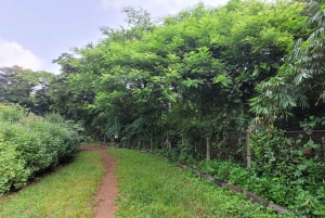 Mumbai: Maharashtra Nature Park Begeleide natuurwandeling