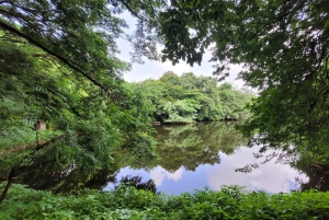 Mumbai: Maharashtra Nature Park Begeleide natuurwandeling