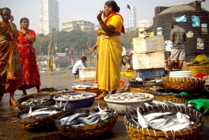 Mumbai Bicycle Tour