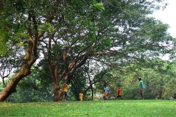 Mumbai Port Trust Garden