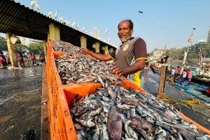 Mumbai: Privat heldagstur med sightseeing og Dharavi Slum