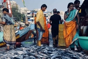 Mumbai : Visite privée de Kanheri et de la ville