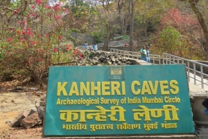 Mumbai Privat Kanheri Caves Tour med upphämtning och avlämning