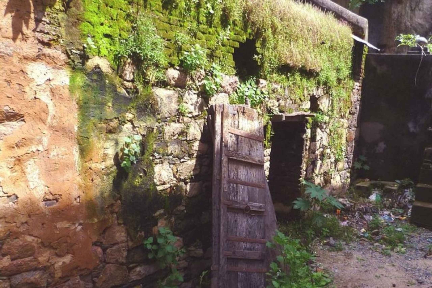 Mumbai/Pune : visite de 4 jours de la station de montagne de Mahabaleshwar