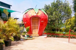 Mumbai/Pune : visite de 4 jours de la station de montagne de Mahabaleshwar