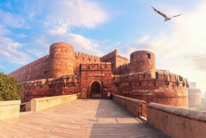 Depuis Mumbai : Visite du Taj Mahal et du Fort d'Agra avec vol le même jour