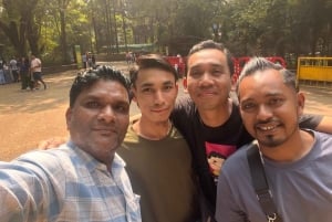 Мумбаи: пещеры Канхери, сафари и джайнский храм