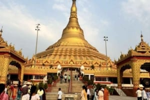 Мумбаи: пещеры Канхери, сафари и джайнский храм