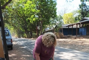 Мумбаи: пещеры Канхери, сафари и джайнский храм