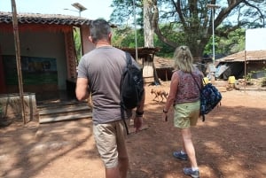 Мумбаи: пещеры Канхери, сафари и джайнский храм