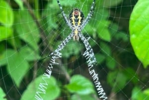 Мумбаи: пещеры Канхери, сафари и джайнский храм