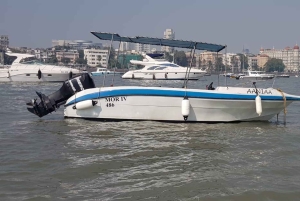 Privat transport med speedbåt fra Mumbai til Alibaug
