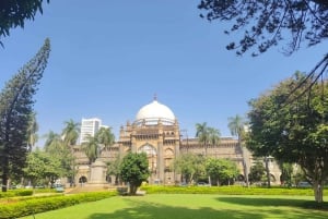 Mumbai: Dharavi-sloppenwijk & Dhobi Ghat met UNESCO-werelderfgoed