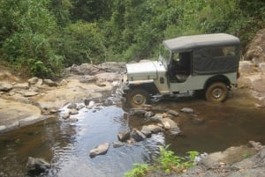 Safari in jeep e trekking in montagna a Munnar