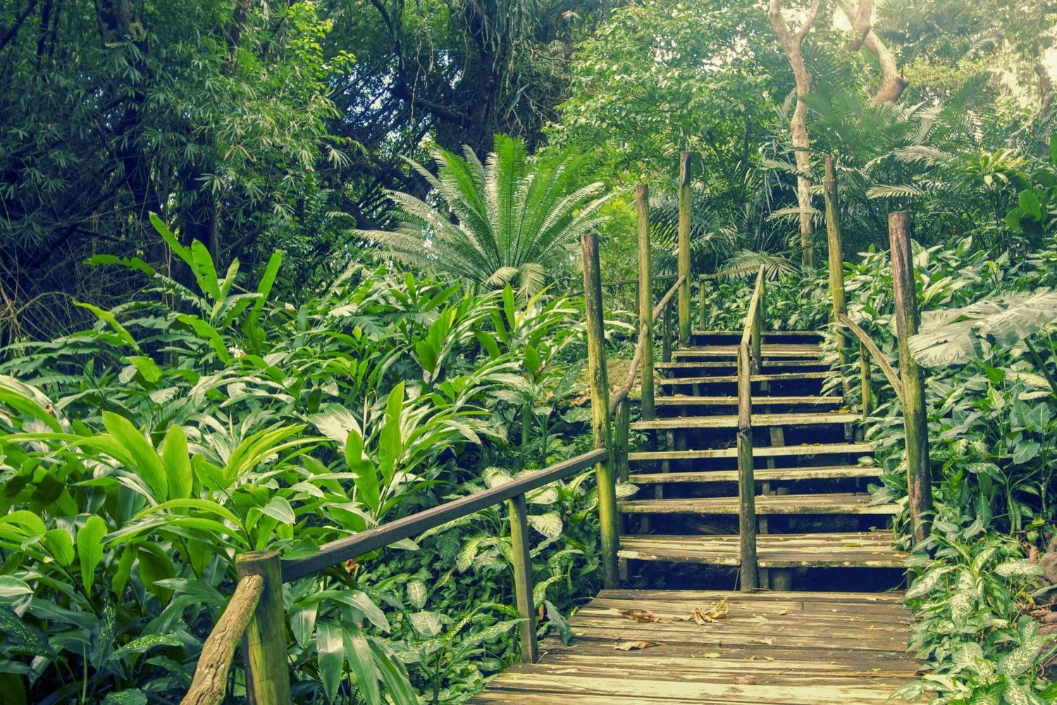 Nadi: tuindorp warmwaterbron & tempel hoogtepunten tour