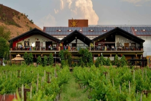 Nashik: Privat dagsutflykt med vinprovningar från Mumbai