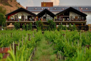 Nashik: Private Full-Day Wine Tour with Tastings From Mumbai