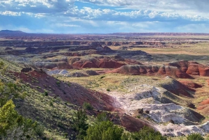 Petrified National Park: Self-Guided Driving Discovery Tour