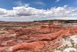 Petrified National Park: Self-Guided Driving Discovery Tour