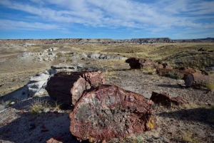 Petrified National Park: Self-Guided Driving Discovery Tour