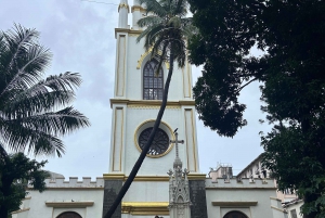 Tour do Patrimônio Português em Bombaim 4 horas