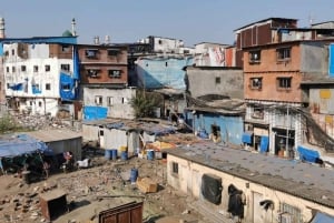 Private ture til Dharavi Slum, Dabbawalas og Dhobhighat